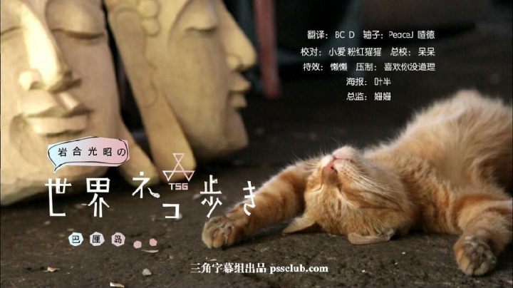 岩合光昭の猫步走世界~巴厘岛~